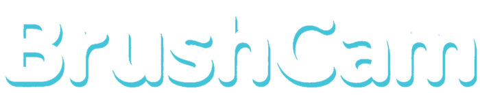 BrushCam
